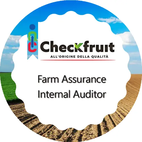 Badge pubblico 12013